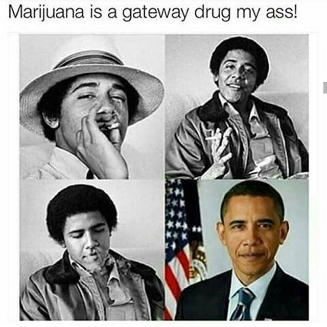 Learn About Weed tweet media