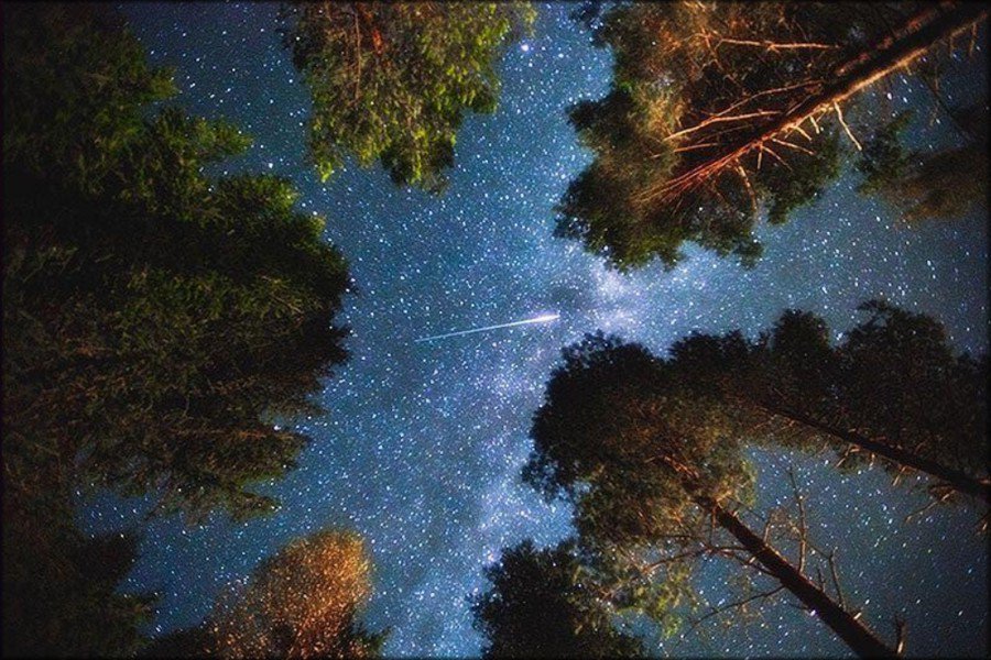 “You are that vast thing that you see far, far off with great telescopes.” ~ Alan Watts