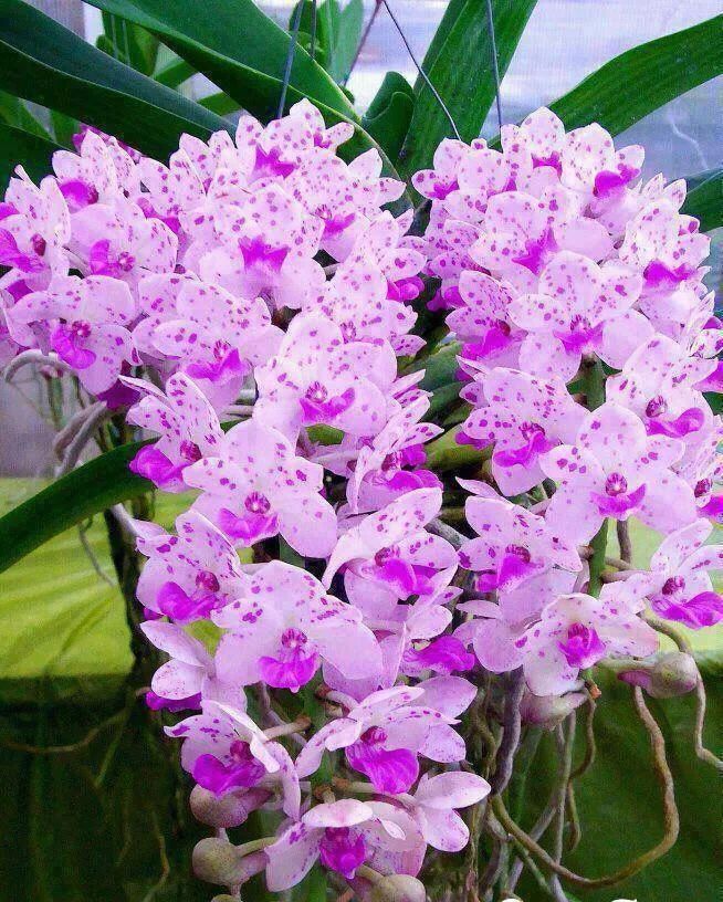 ChernSr's tweet photo. ℍᗅℙℙℽ ᝨႮℰՏⅅᗅℽ
🍃🌷🌻 
@INDIABONITA_11 
@_indiabonita 
@Cathereni 
@ATT_GLA  
@Mia_Chern 
@TribuSanz_   
@BlueChern   
@Bluealex95 
@PassIt_ https://t.co/BghvgHJbXM