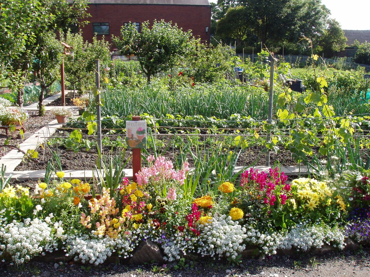 LdgfPublicity's tweet photo. Allotments, the only truly sustainable form of social gardening, and cheaper than most recreational activities.
@DefraGovUK @NSALG @GYOmag https://t.co/75fX1FK5RF