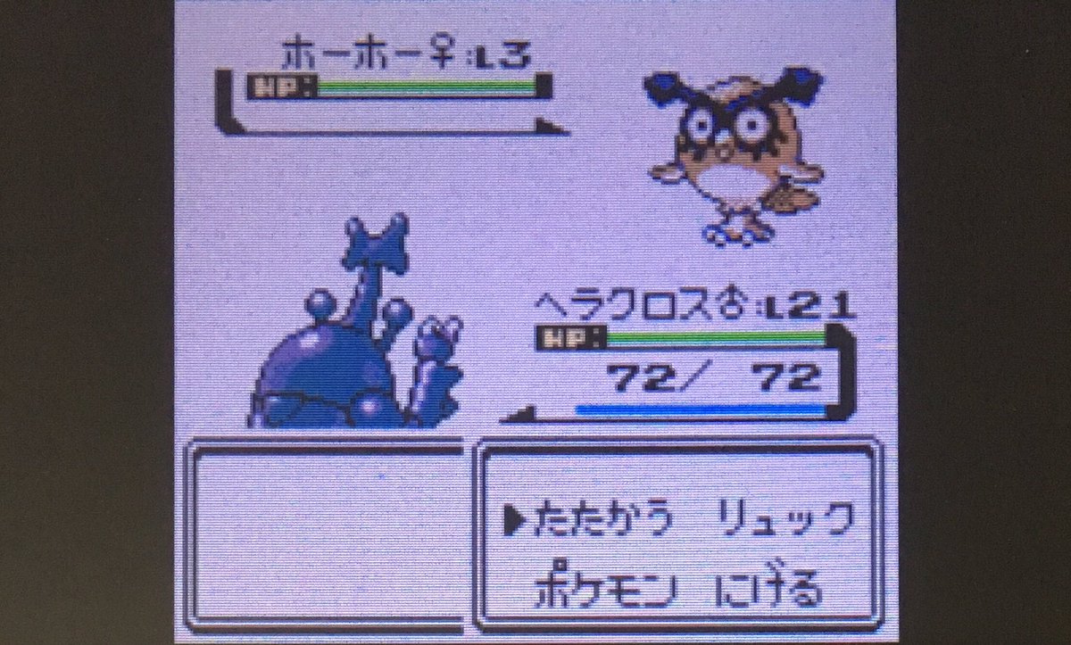 ট ইট র エルザ 色違いホーホー探しの旅 5日目 2700戦目 ホーホーのみの時間 23時間40分 総合時間 29時間40分 Vc金銀 ポケモン金銀 3ds