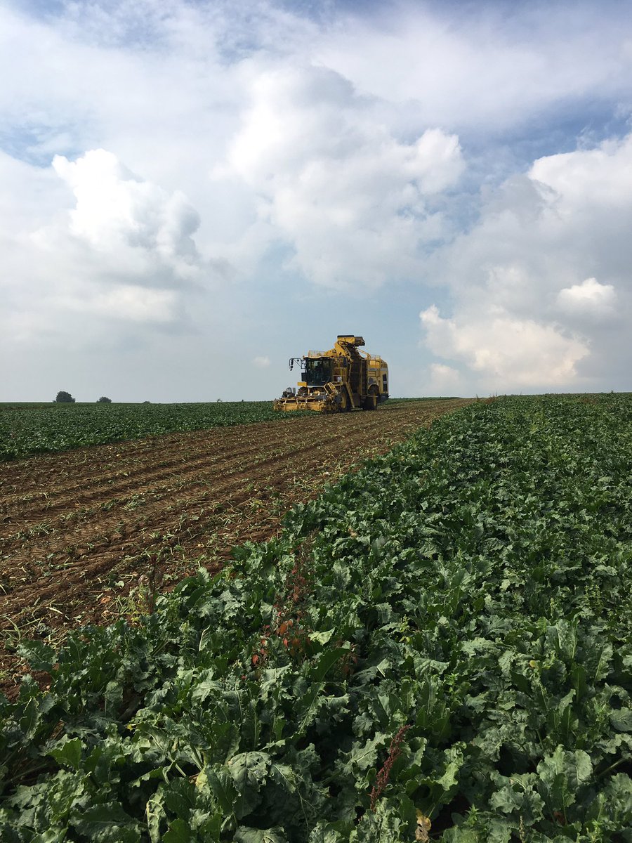 Christophe Grison tweet media