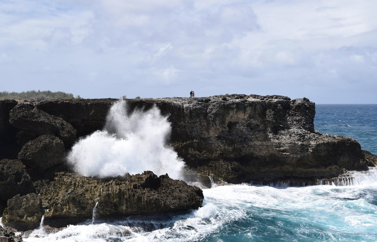 SuntoursB's tweet photo. Out and about on the 360 Degree tour #suntoursbarbados #360degrees #besttourever https://t.co/38hkvKAybb https://t.co/RHnDlR3qez