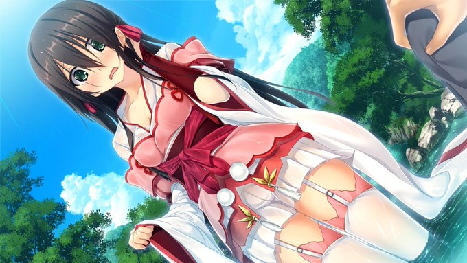 正規品 竹中半兵衛 詩乃重治 描き下ろし 巻きもの 戦国†恋姫X ぎん太郎