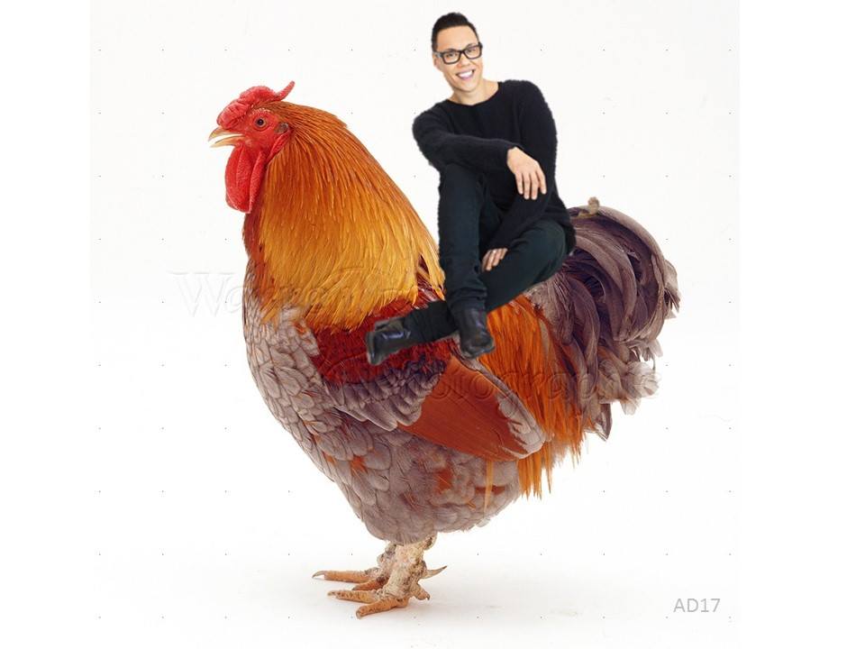 2amydee's tweet photo. #youhaveheardofelfontheshelf Hope you like this @therealgokwan my dad made it for you 😂 https://t.co/PUMqVdeHwh