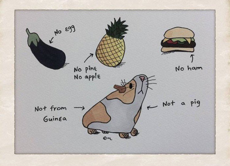 Wells_WC's tweet image. #englishlanguageproblems