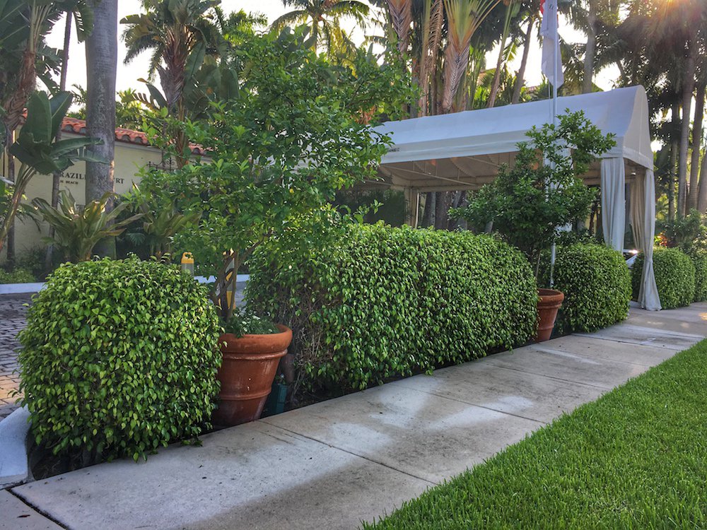 We almost missed it because the <a href="/BrazilianCourt/">The Brazilian Court</a>  is beautifully hidden in plain sight. bit.ly/2eBmZz9 #travel #traveltuesday