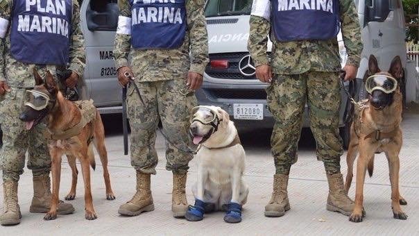 Vivan los héroes que nos dieron pata!