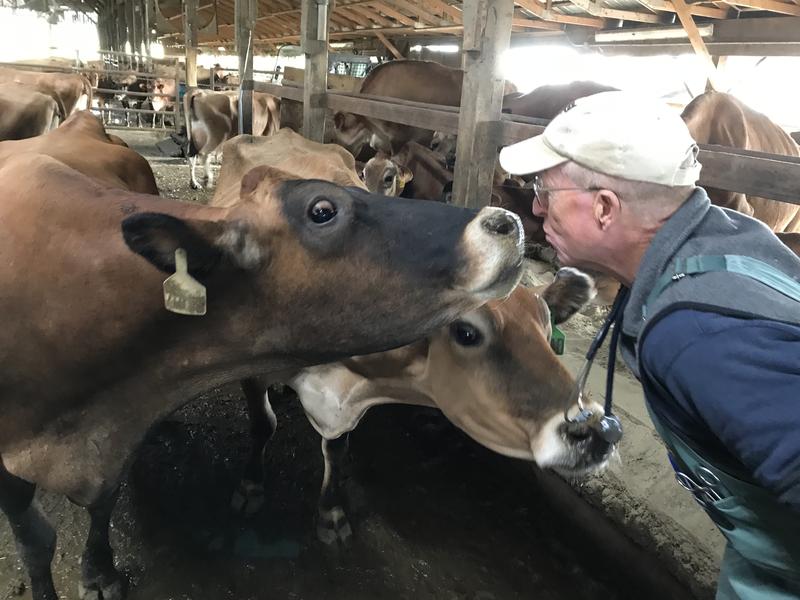 'Vermont Edition' Field Trip: A Visit To 4 Of The State's Dairy Farms dlvr.it/PqbShS https://t.co/tHKUu5ZYd0