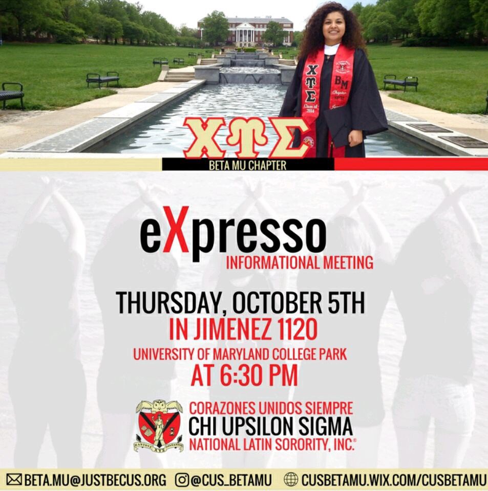 Beta Mu Cussies tweet media