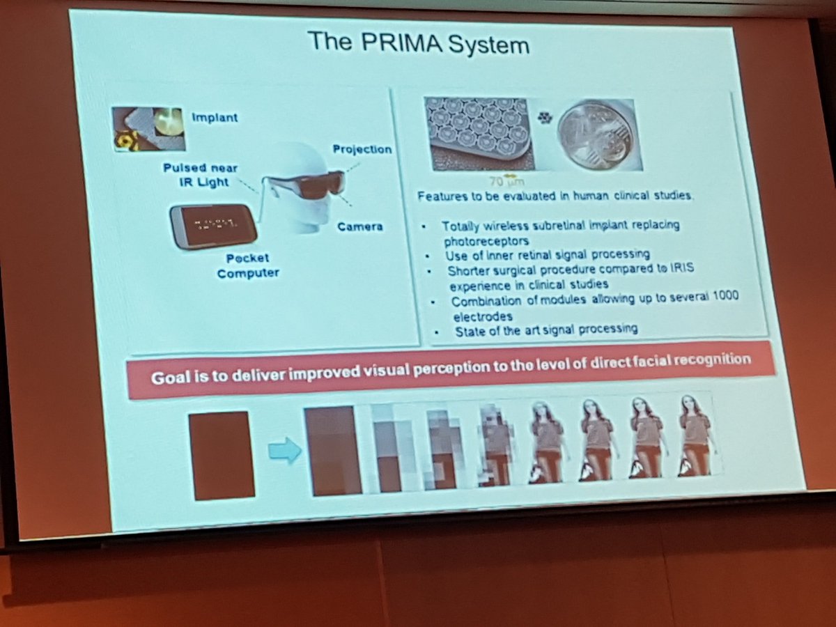 PixiumVision's tweet image. Y LeMer + S.Picaud update #bionicVision #future #theeyeandthechip   #pixiumvision #prima #frenchtech #innovation #fightblindness dry #AMD