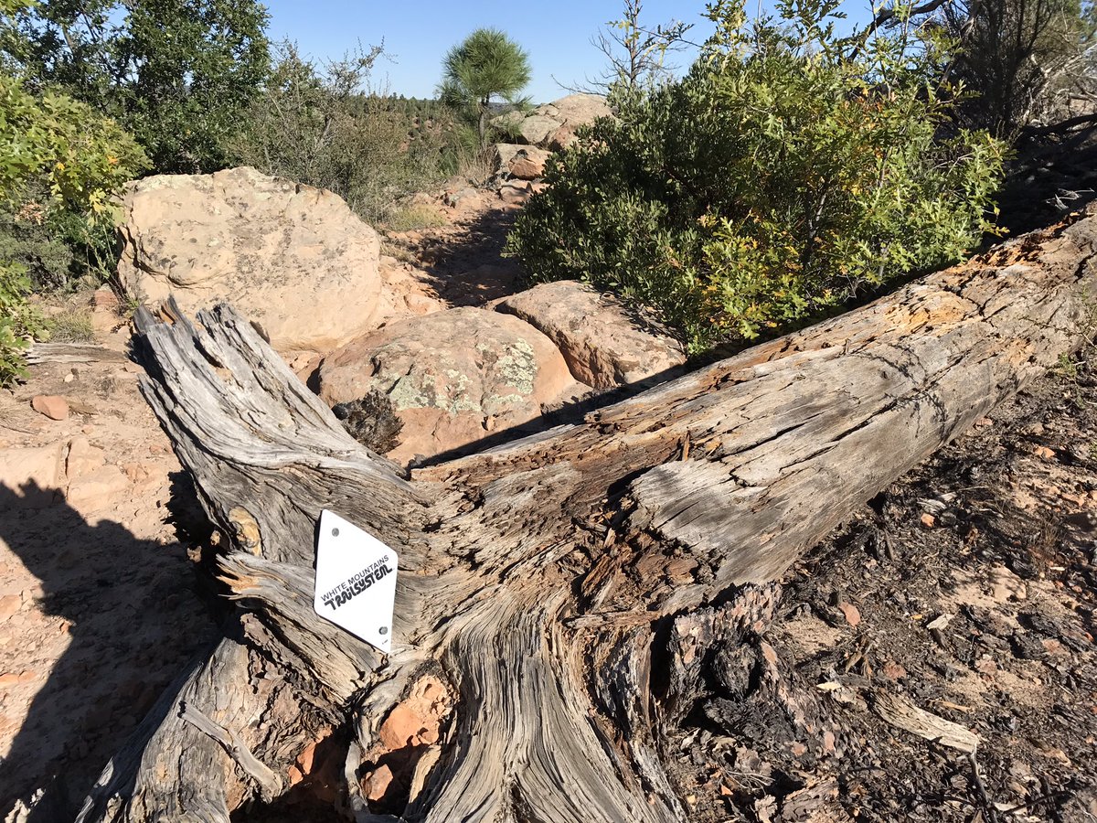 Beautiful morning for a hike in #ShowLowAZ #JRT #azwx