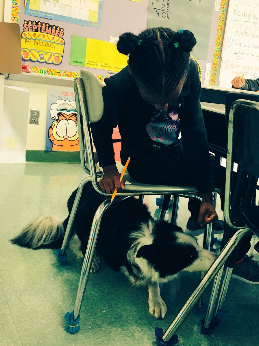 PineappleTeach4's tweet photo. Teaching kids about humanity one dog at a time!! #isdStrong #waysidewaifs https://t.co/sJa4CJd7mr
