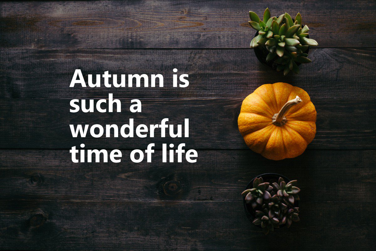 Quote of the Day. #quoteoftheday #life #autumn #aging #seniors #retirement