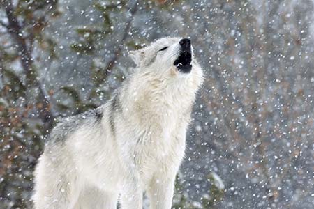 ~Hello my friends~
   Have a nice day