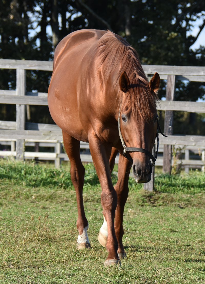 ホワイト ウォーター アフェア