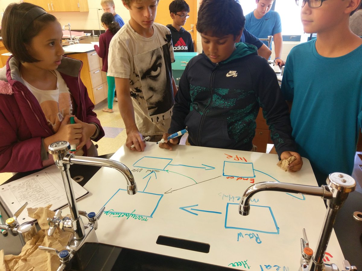 GSkites's tweet image. 4th hour&apos;s life cycle diagram models are coming along! #novipride #sciencemodels #ngsschat