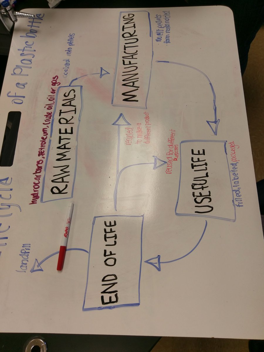GSkites's tweet image. 4th hour&apos;s life cycle diagram models are coming along! #novipride #sciencemodels #ngsschat