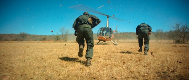 BobMiller13nj's tweet photo. "The Internet of Things is putting poachers on the endangered list" @businessinsider #IBM https://t.co/9G8bN6jNXJ https://t.co/oVhhkpYoS0
