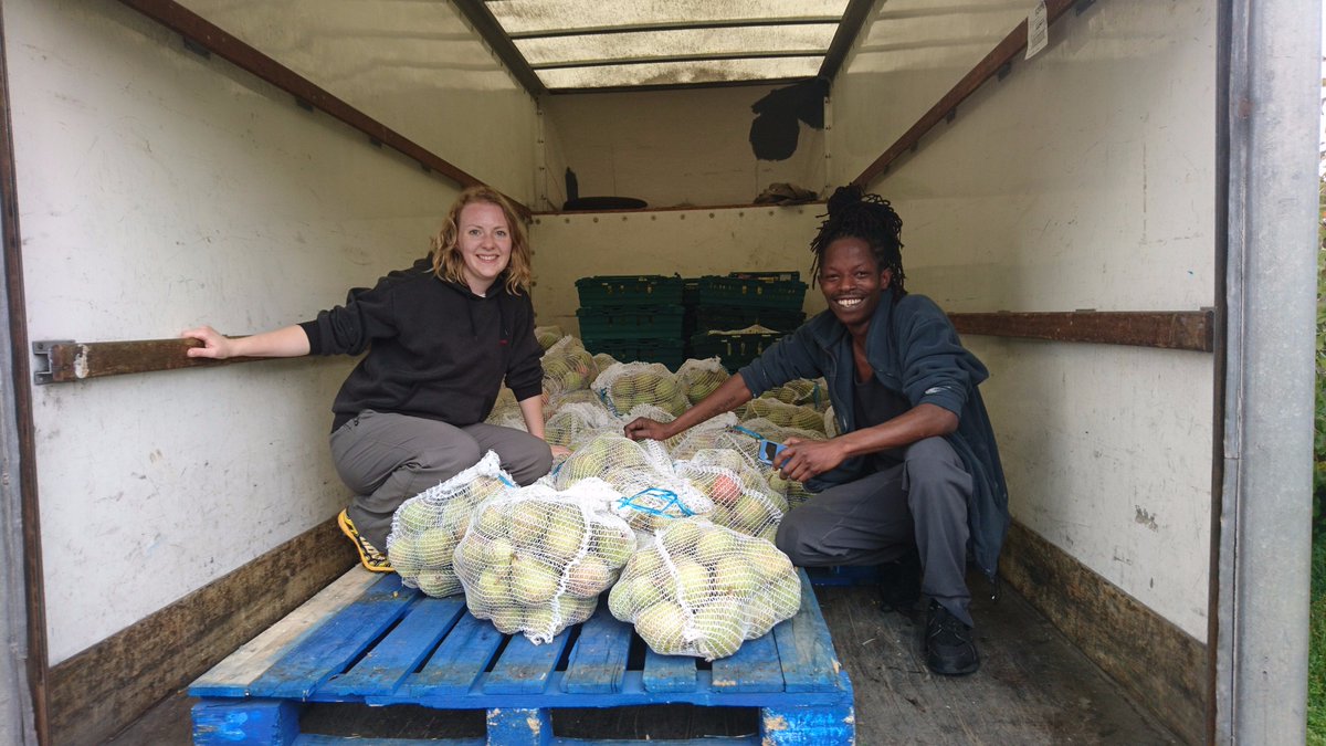 Gleaning Kent tweet media