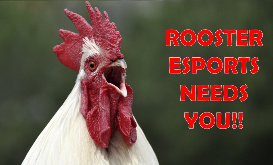 Rooster_eSports's tweet photo. ¿Quieres formar parte de Rooster eSports? Empieza rellenando este formulario!

¡NO aceptamos solicitudes por MD!

🐓💪
https://t.co/0XvuHaZABb https://t.co/0nUIb2s6zg