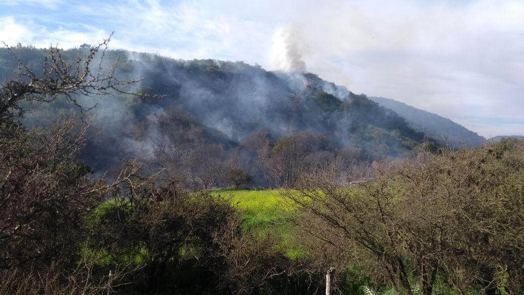 conaf_minagri's tweet photo. Autoridades de Valparaíso presentan querella contra responsables del incendio forestal que afecta a sector sur de Santo Domingo. https://t.co/7ya9mtRF8M