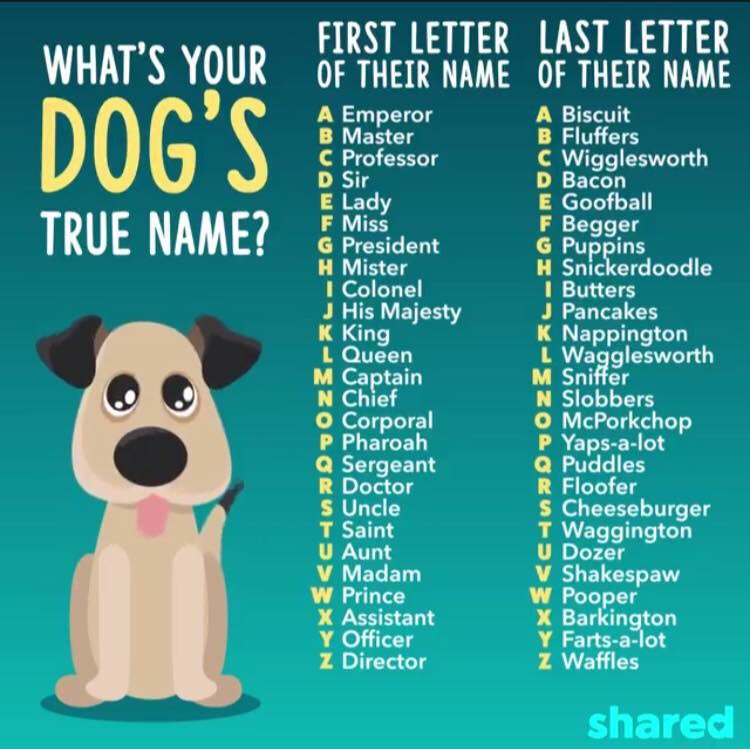 Dog Name Chart