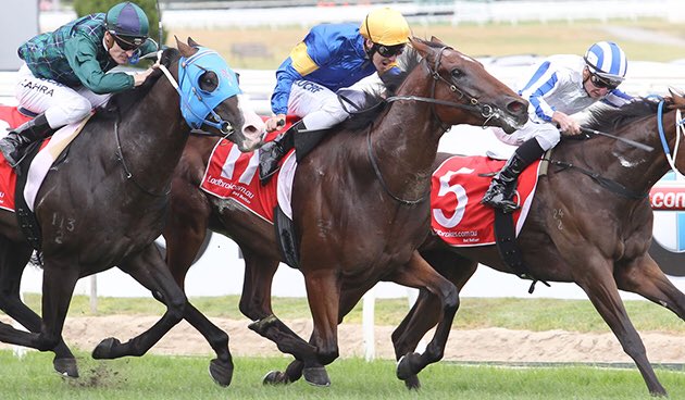 Looking forward to the G1 Sir Rupert Clarke Stakes on Sunday. <a href="/brentonavdulla/">🇦🇺 BRENTON AVDULLA</a> will ride Mr Sneaky and <a href="/Yendall21/">Dean Yendall</a> booked for Santa Ana Lane