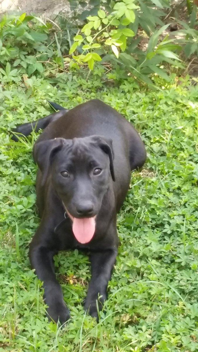 Nedda Matetics tweet media