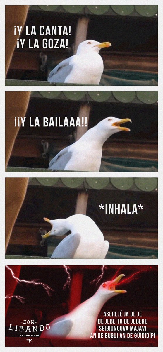 DonLibandoMer's tweet photo. Sé que la leíste cantando 🙈 y te acordaste de alguien 🙉... Etíquetalx 🙊 #FelizMartes https://t.co/hgmBJGFWXn