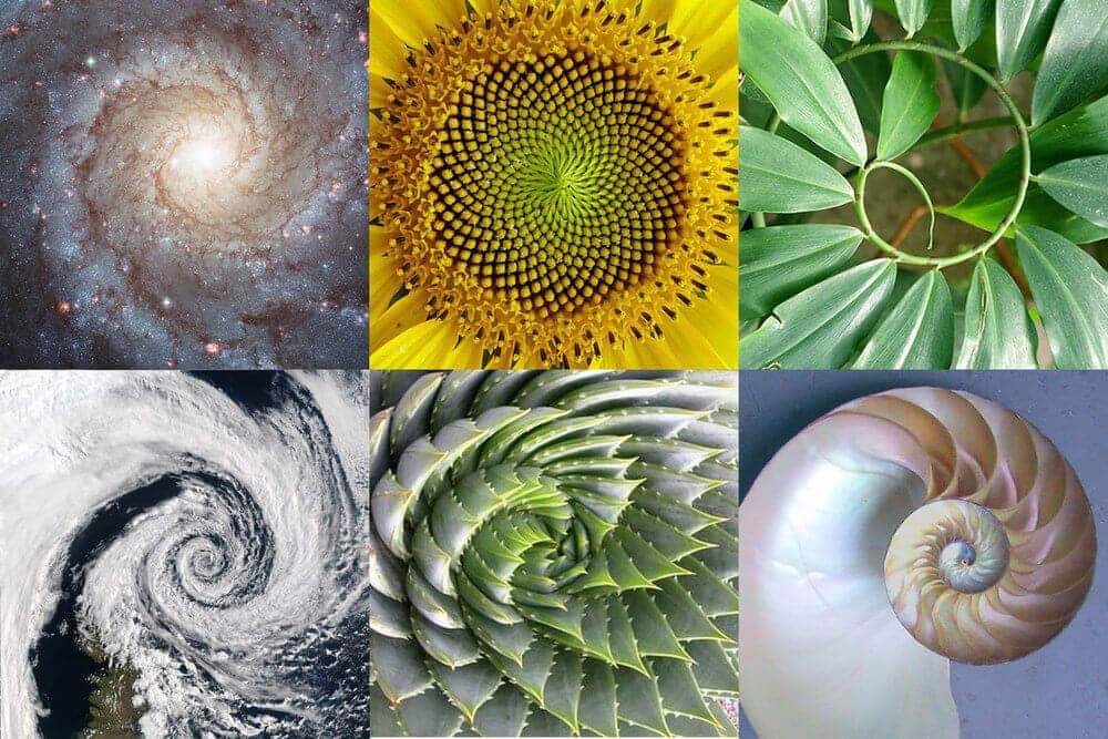 alienufovideos's tweet photo. The Mindblowing Secret Behind The Numbers 3, 6, and 9 Is Finally REVEALED! https://t.co/b7SypbY4aX https://t.co/GpR7Gcd6AJ