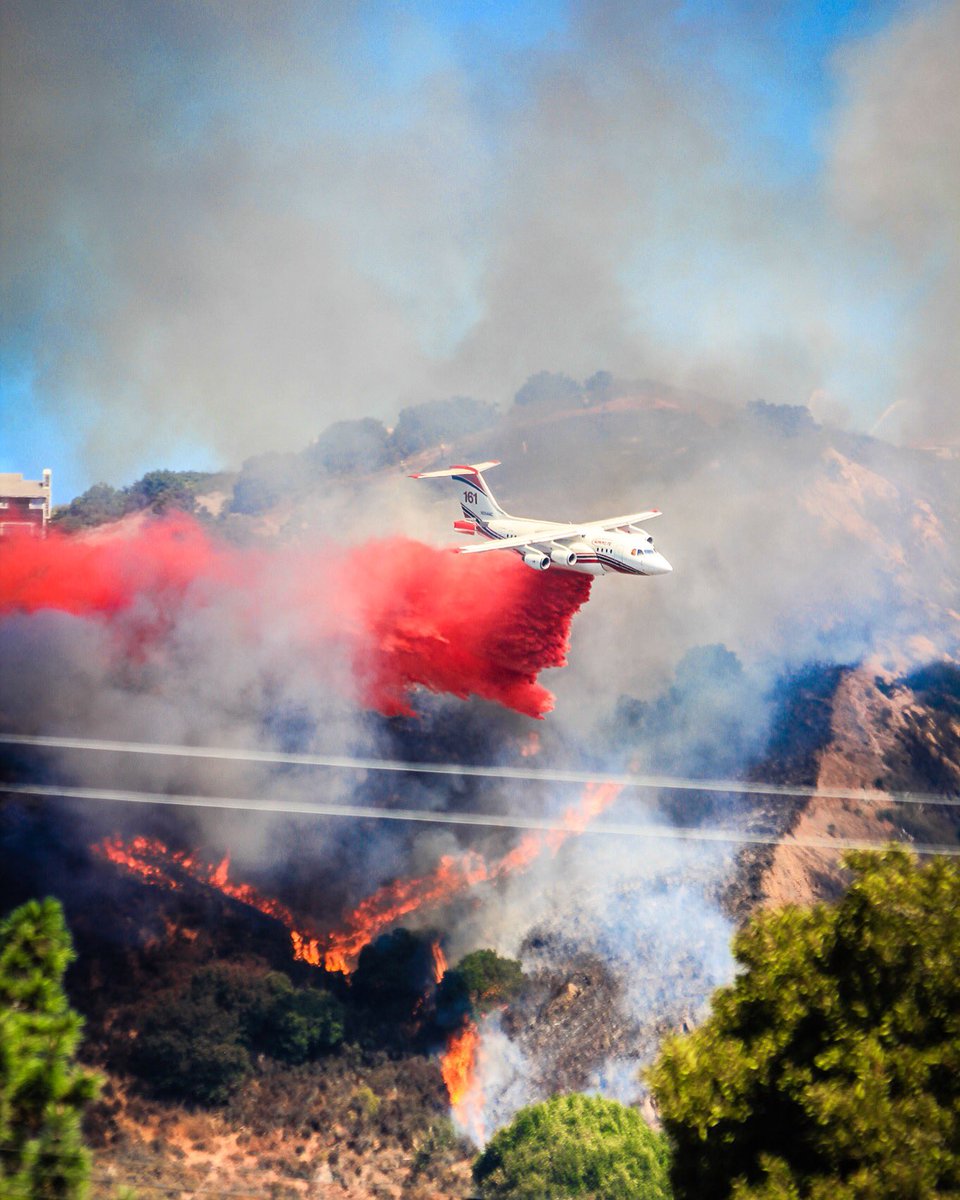 Headnodic tweet media