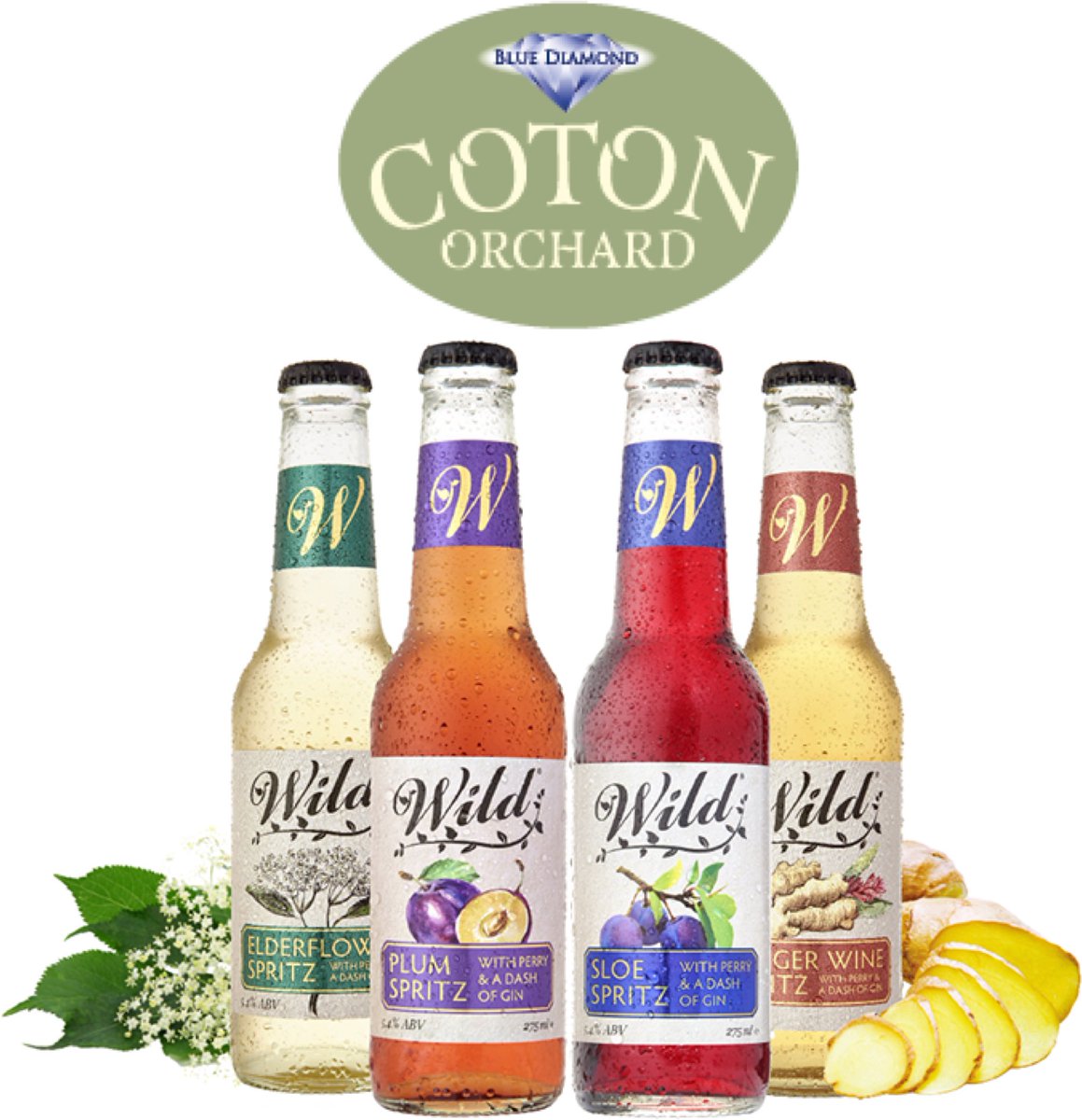 Wild Drinks tweet media