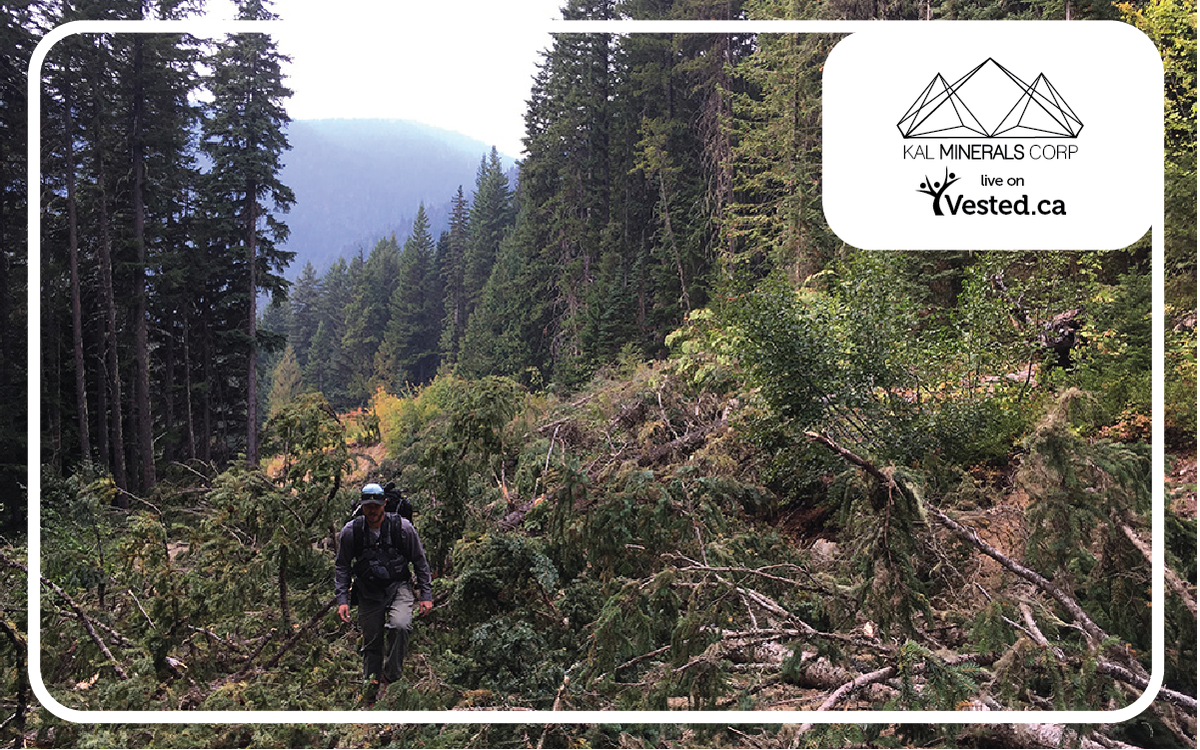 KalMineralsCorp's tweet photo. "When the going gets tough, the tough get going" - J.P Kennedy #Motivation #ChangeMining #MineralExploration #BCtech #Vested https://t.co/UCGhSO8svK