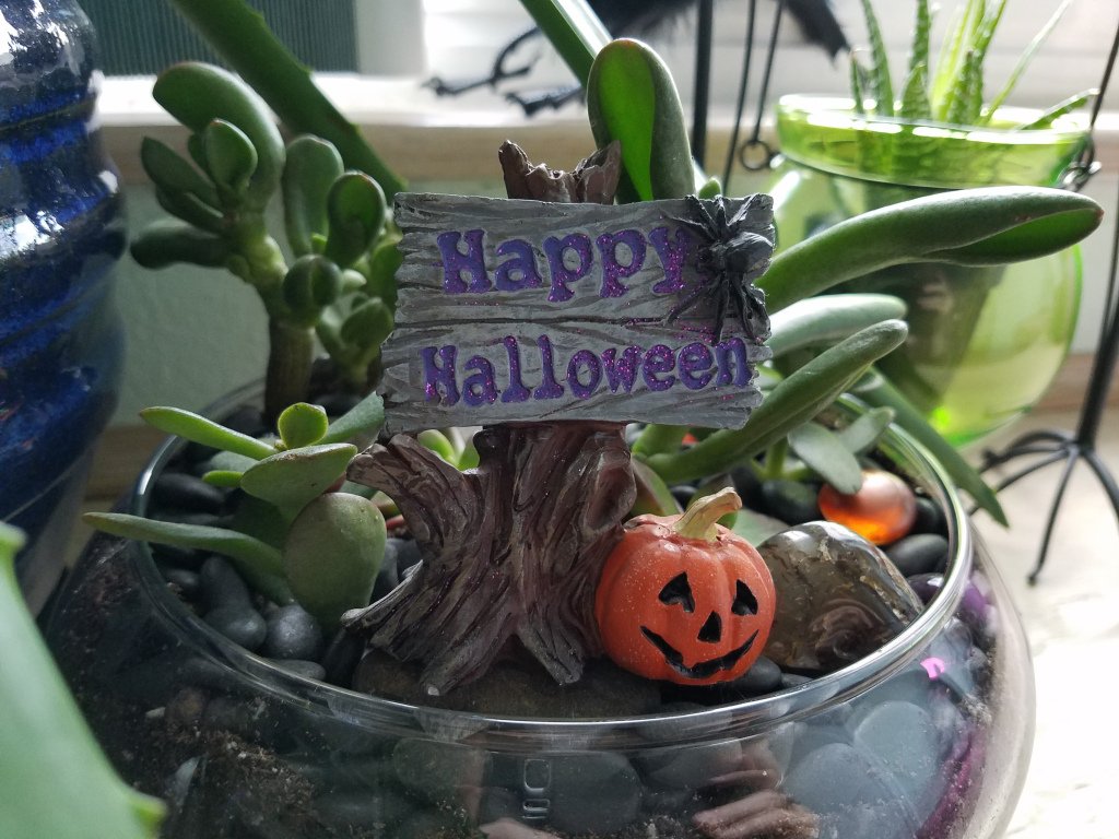 Tip Tuesday ~ Seasonal Succulents abundantlifeak.wordpress.com/2017/09/26/tip…