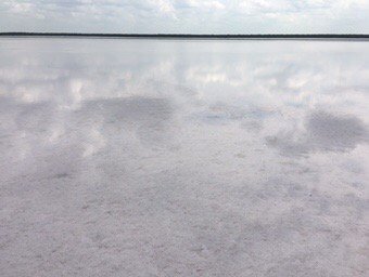 This photo I took at #LaSaldelRey salt lake in #Texas near #Mexico it looks deep but I walked a crossed it.