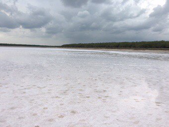 Took #photos today at the #LaSaldelRey salt lake near #Mexico. It looks like marble but it's all salt.