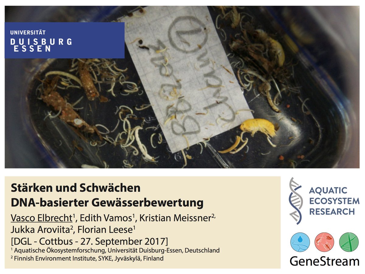 VascoElbrecht's tweet photo. Looking forward to give a plenary talk tomorrow at #DGL2017 on DNA #metabarcoding. Will return to Sarajevo afterwards to @DNAquaNet meeting! https://t.co/bPsxZzKQQL