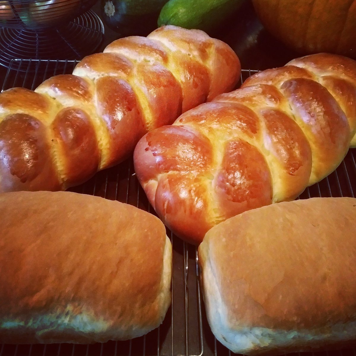 Fresh bread. Bon Appetit! 
#homestead #homemade #bread #NB #selfsufficient #photography #fall