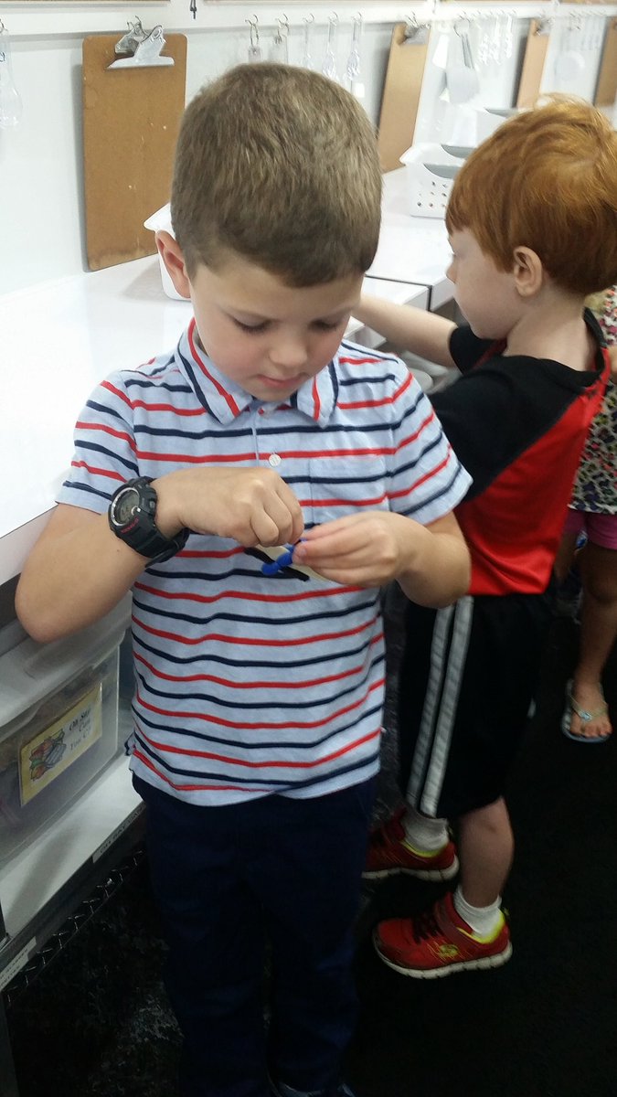 fearonsfirsties's tweet photo. Learning about insects (good and bad) in the ag mobile! https://t.co/axE1Owmz88