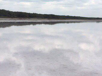 Took this of the #LaSaldelRey salt lake in #Texas near #Mexico. It looks deep but isn't. Drought conditions. #nature