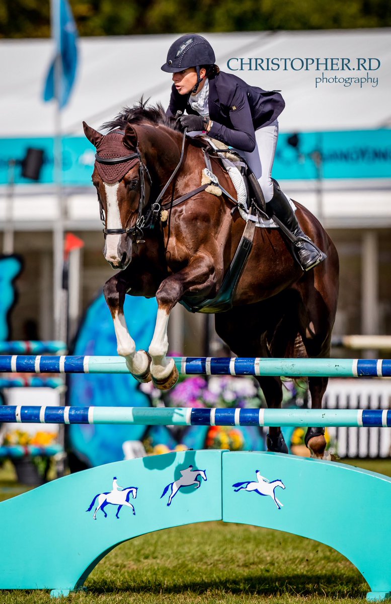 rdchristopher1's tweet photo. Fiona Breach at @BlenheimHorse 2017 #BPIHT17 #blenheimhorse @rdchristopher1 @Eventing_News @BEventing @horseandhound @eventfulifebook https://t.co/fKccuSzJNZ