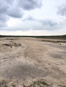 #LaSaldelRey salt lake is bone dry. The #drought has been unkind to this #wildlife #nature #Texas