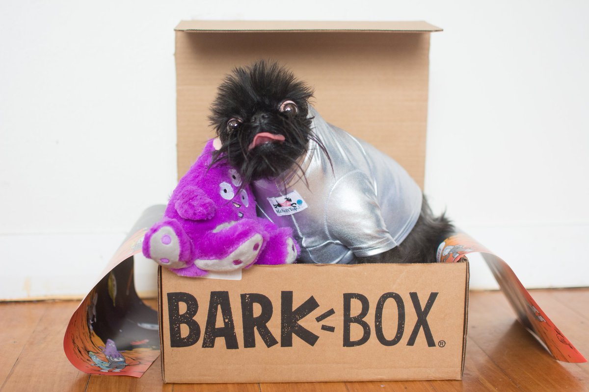 When you get your <a href="/barkbox/">BarkBox</a> and the toys tell you to pee on things