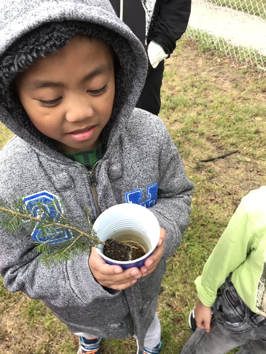 silver_reagan's tweet photo. Time to plant! #wsd #wsdinquiry #esd #fortrougelearners @fort_rouge https://t.co/I6JjQzt2gX
