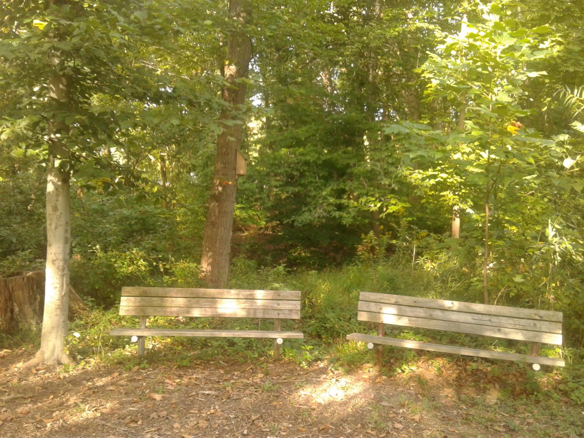 julie_dunphy's tweet photo. Have you been to our nature trail? Check it out on 10/10 &amp; 10/11! Clean-up, craft, and scavenger hunt at 4! #babytuliptree https://t.co/3lXc1K54qL