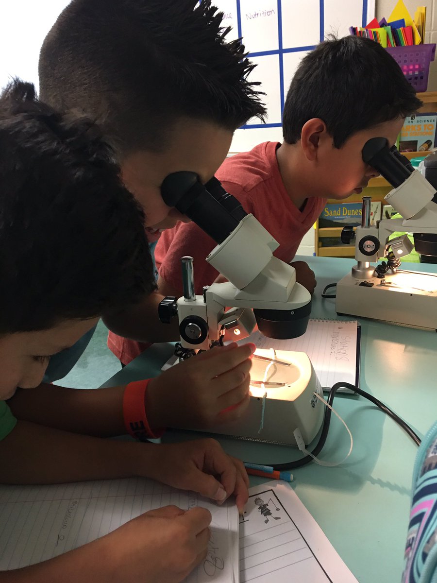 AlmaguerAbby's tweet photo. Safety First! Science safety &amp; tools lab class with #mylittleeagles #SOAR #CCISD #5thgradedreamteam https://t.co/95DtMdzKCv