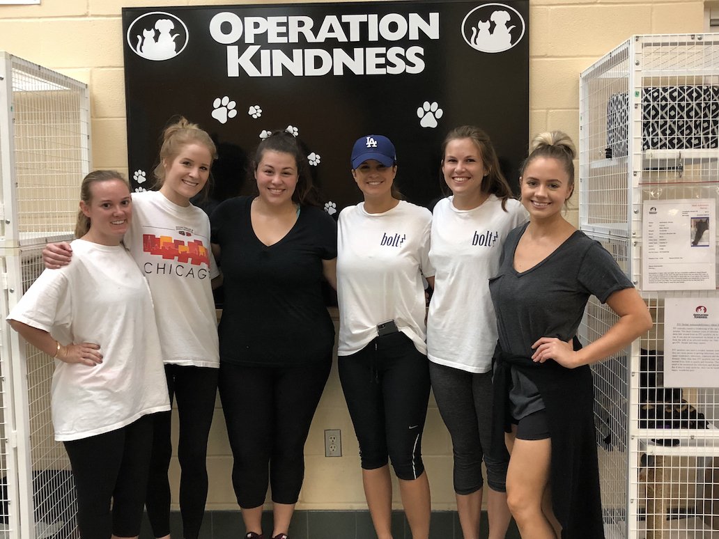 BoltPR's tweet photo. #BoltTX had a "paw"some time volunteering at @OpKindness for their #BoltBack today! https://t.co/hjaYeN4OqF