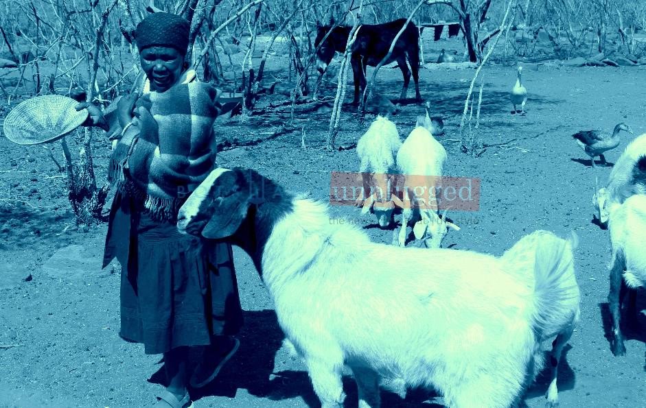 UnpluggedBW's tweet photo. #Botswana and #Zimbabwe compare and exchange tourism notes. Read more https://t.co/dKodWarCZl | #ilovebotswana | #formeforbw | https://t.co/XJaZgeYbpO