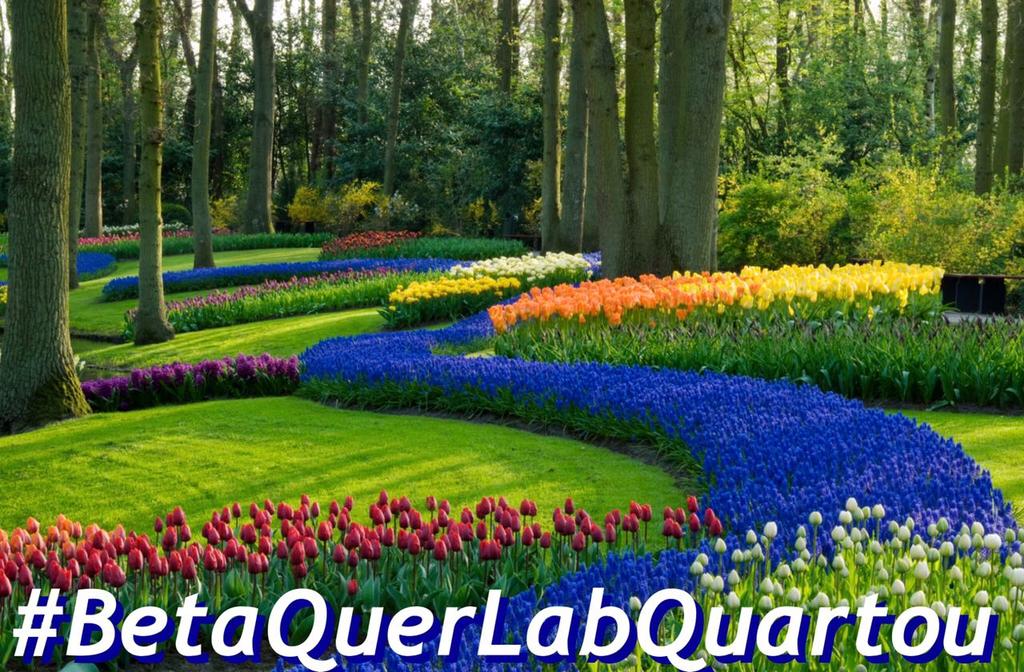 #BetaQuerLabquartou Continue seguindo nossa tag e pontue muito mais, muitos Betas já são Lab com #BetaQuerLab 👑